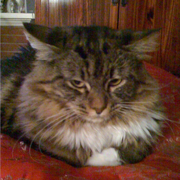 Meet your Posher, Insanely Biased - Picture 1 of 1